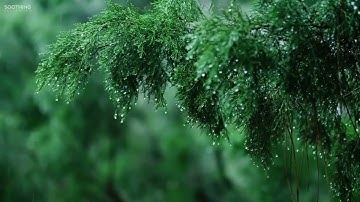 سورة البقرة الحواشي بدون اعلانات