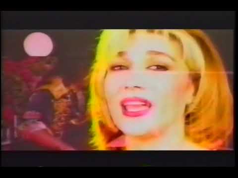 Delaram Delam Koosh Official Video