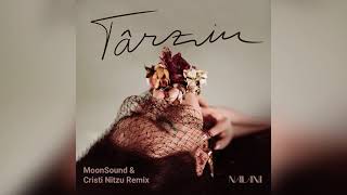 Nalani - Târziu | MoonSound & Cristi Nitzu Remix