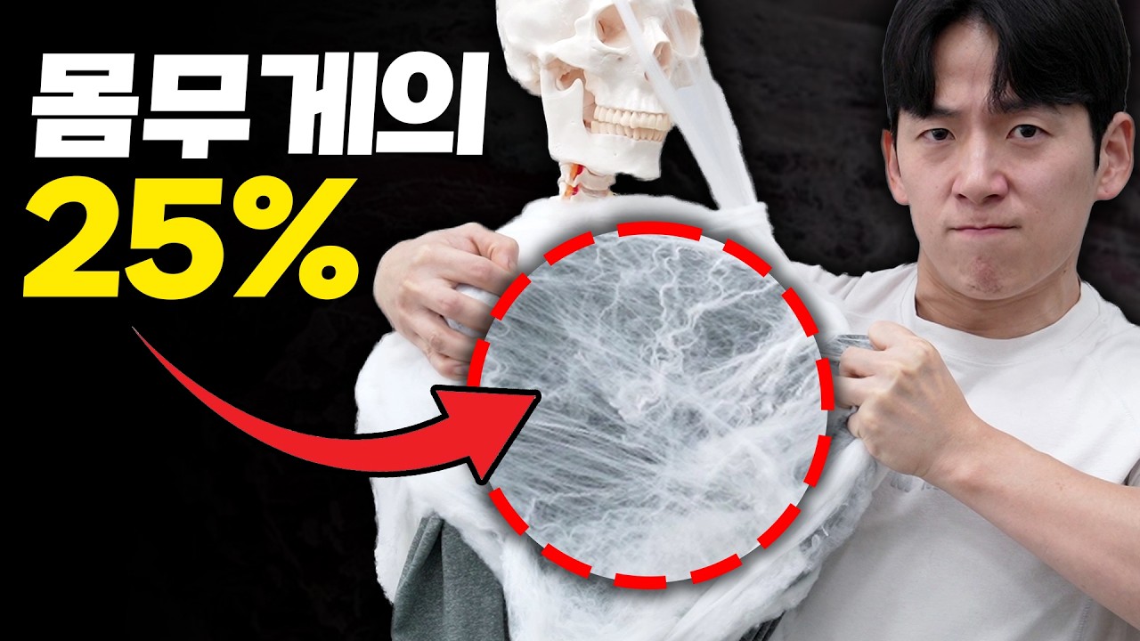 대부분 근육보다 중요한 근막(fascia)을 모르더라구요!?