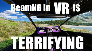 Rally in BeamNG VR is Horrifying