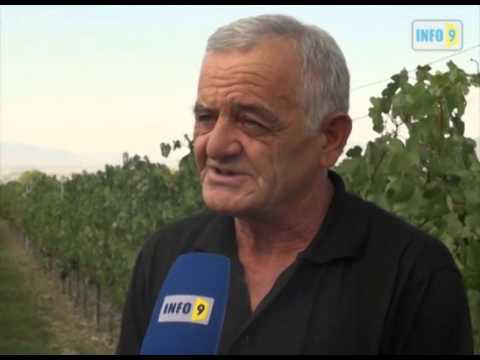 „ქართული ოცნების\" მხარდამჭერები