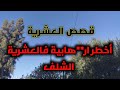 اخطر ار هابية فالعشرية في الشلف الصبحا قصة واعرة صادمة و مر عبة العشرية السود اء 