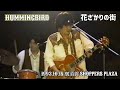 花ざかりの街 HUMMINGBIRD
