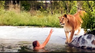 Решил ИСКУПАТЬСЯ СРЕДИ ЛЬВОВ! I DECIDED TO SWIM AMONG THE LIONS ! Решил ИСКУПАТЬСЯ СРЕДИ ЛЬВОВ! I DECIDED TO SWIM AMONG THE LIONS !