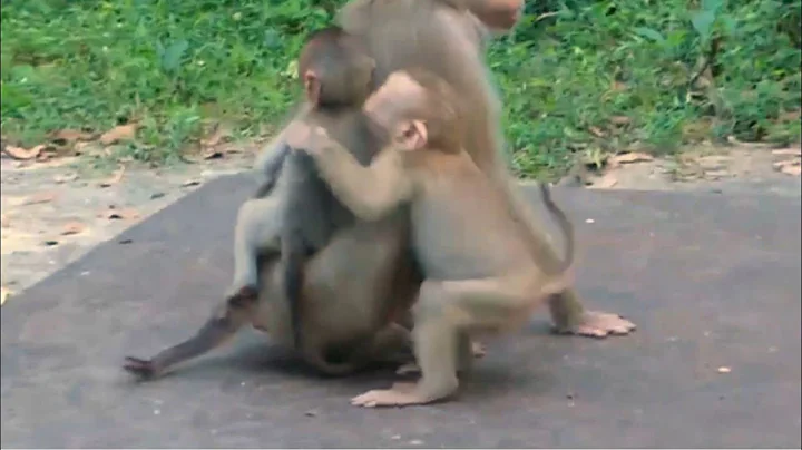 Wow, Greedy orphan baby Angela rushing to console ...