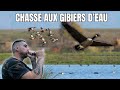 Chasse aux oies et canards en france