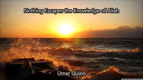Nothing Escapes the Knowledge of Allah...by Umar Quinn