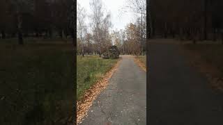 Осень #shorts