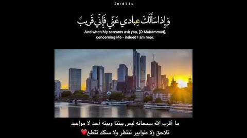 " وإذا سألك عبادي عني فإني قريب " تلاوة خاشعة للشيخ ناصر القطامي