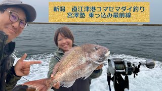 新潟県直江津港ノッコミコマセマダイ釣り【宮澤塾乗っ込み最前線】