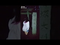 霊もこっちを見て。