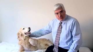 Dr. Victor Dolan Explains How To Keep Your Dog Healthy |  natural recipe dog food