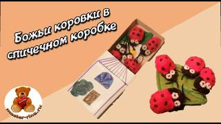 Божьи коровки в спичечном коробке