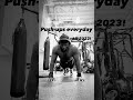 #pushups #everyday #calisthenics #youtubeshorts #motivation #2023 #getfit #stayfit #nodaysoff #love