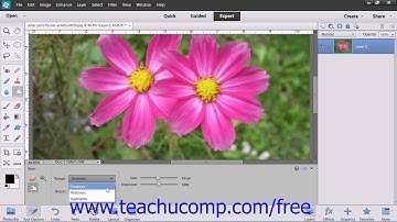 Photoshop Elements 12 Tutorial Using the Dodge Tool & the Burn Tool Adobe Training Lesson 13.7