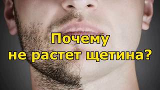 Почему не растет щетина?