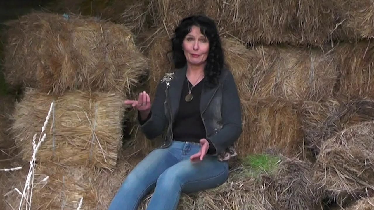 Every Little Tear -  Kelly Auty