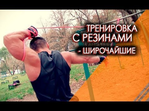 Упражнения с резинками - широчайшие мышцы спины