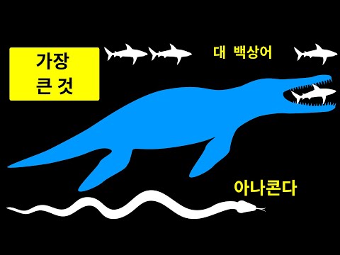 지구 상에 존재한 가장 큰 22가지