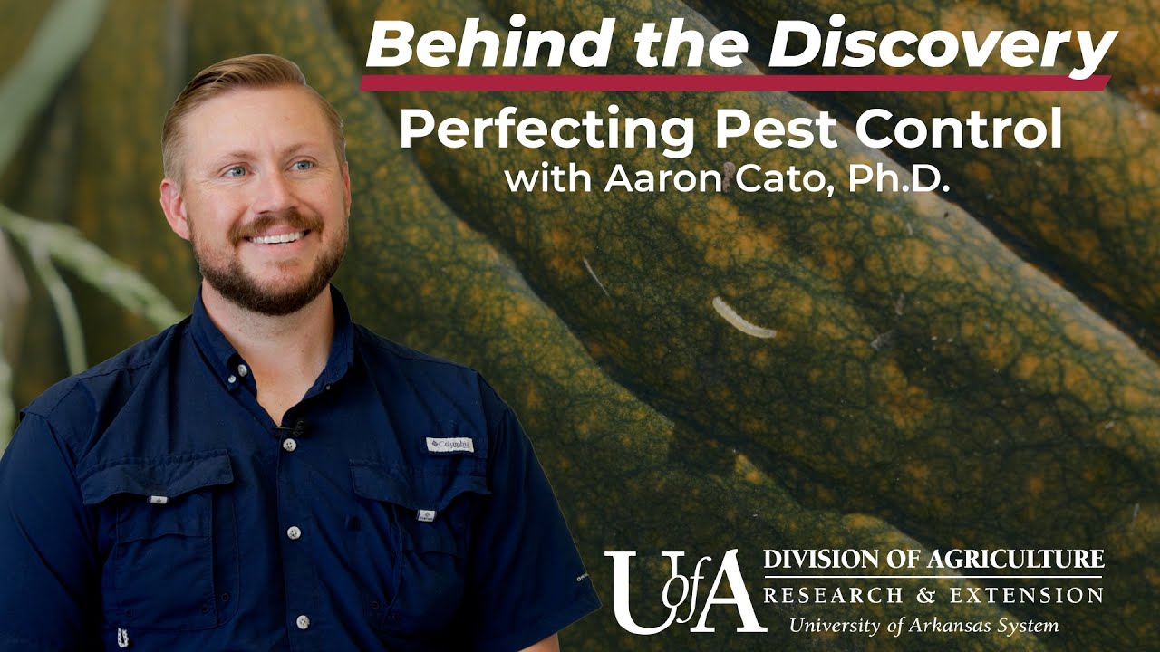 Aaron Cato - Perfecting Pest Control | Behind the Discovery - YouTube