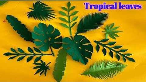 DIY Paper leaves craft for decoration part 1 of 3 | Tropical Leaves |Monstera leaf |backdrop ideas