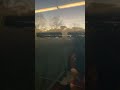Elizabeth, New Jersey Fire seen from njtransit train #fire #new Jersey #elizabeth