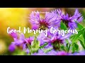 Blues music - Good Morning Gorgeous - Emily Wilson