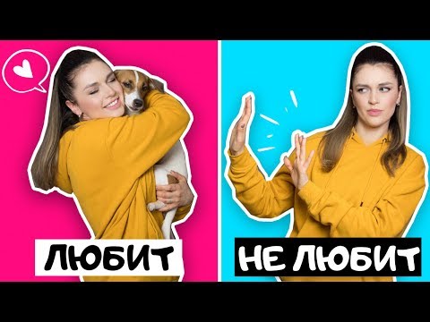 КАК МОЖНО НЕ ЛЮБИТЬ СОБАК?! // ПРИЧИНЫ, ПО КОТОРЫМ ЛЮДИ НЕ ЛЮБЯТ СОБАК