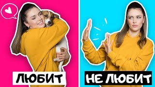 КАК МОЖНО НЕ ЛЮБИТЬ СОБАК?! // ПРИЧИНЫ, ПО КОТОРЫМ ЛЮДИ НЕ ЛЮБЯТ СОБАК