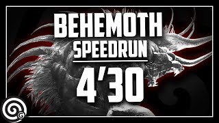 Behemoth Speedrun 430 - A Visitor From Eorzea Monster Hunter World