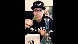 The Pineapple Strain Review Featuring Henry’s Original