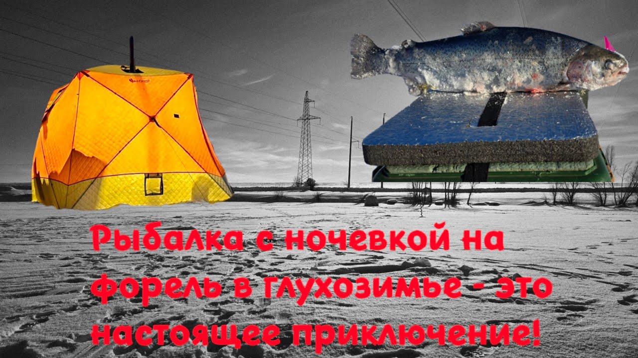 Рыбалка на форель в глухозимье  🎣🥶 #рыбалка #форель #глухозимье