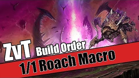 Build Order Tutorial: ZvT 1/1 Roach Macro