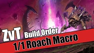 Build Order Tutorial: ZvT 1/1 Roach Macro