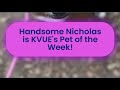 You can't resist those eyes...Nicholas is KVUE's Pet of the Week!