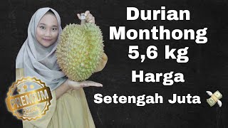 PECINTA DURIAN KUMPUL !! MAKAN DURIAN MONTHONG SUPER GEDE | Kamulyan Durian | Vinona Alvio