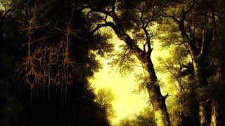 Forest of Orthanc -  "A Lonesome Walk Through Fangorn" |Slowed & Reverb| (Dungeon Synth / Ambient)