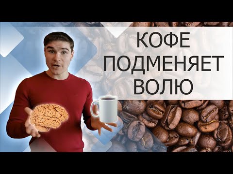 Кофеин и мозг, внимание, память. Сколько можно пить кофе в день. Польза и вред кофе память