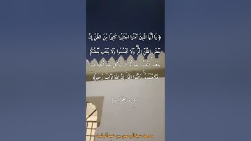 ﴿ إنما المؤمنون إخوة فأصلحوا بين أخويكم واتقوا الله لعلكم ترحمون... #سورة_الحجرات #روائع_التلاوات