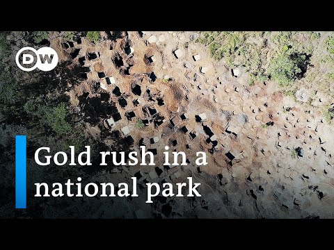 Illegal gold mining in Mozambique - Global Ideas