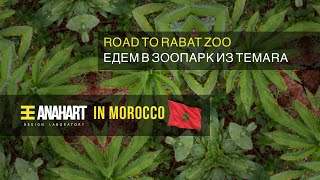 Как мы поехали в зоопарк Рабата Марокко Zoo Hey Riad Rabat Temara Morocco FullHD 1080p Anahart Trip