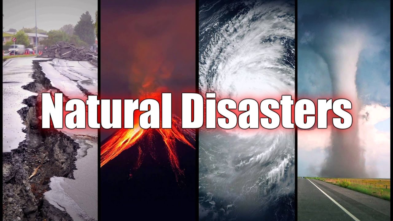 Disasters questions