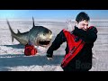 Frozen Sharks | Film Complet en Français VF | Nanar