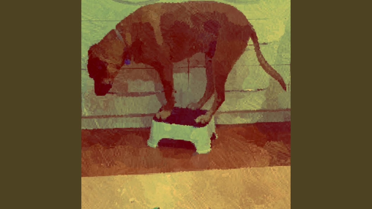 Jamie Burrell - cookie 'n cream