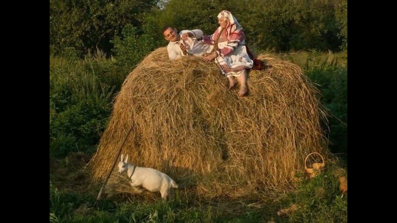 Сеня села. День валяния в стоге сена. Стог сена в деревне. Человек на сеновале. День валяния встрое сена.