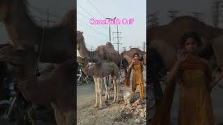 Camel with Calf | Shorts | Attendant too Cleaver