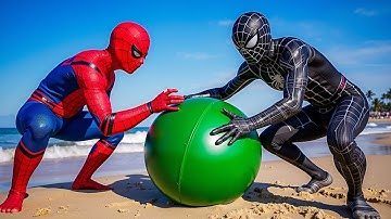 سورة البقرة - تلاوة مرتلة بصوت الشيخ ياسر الدوسري