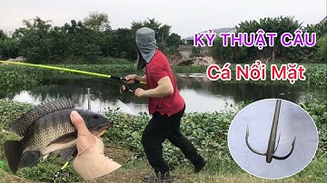 KỶ THUẬT CÂU BA TIÊU CÁ NỔI MẶT