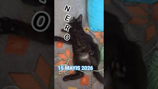 NERO (15 MAYIS 2026)